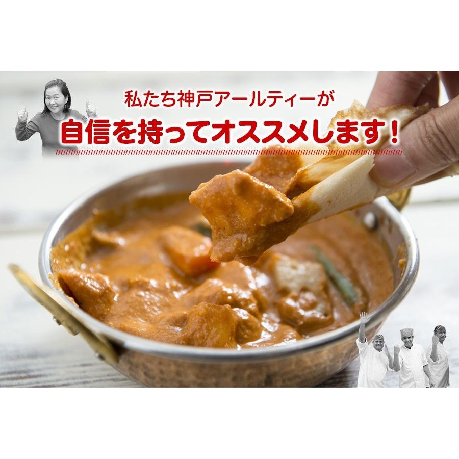 カレー 選べる 3食セット レトルトカレー インドカレー 神戸アールティー 送料無料｜aarti-japan｜09