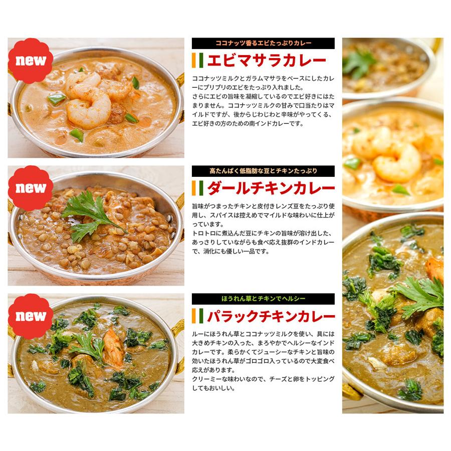 カレー インドカレー選べる3食DXセット ≪簡易包装≫ 180gx3袋 レトルトカレー ゆうパケット送料無料｜aarti-japan｜05