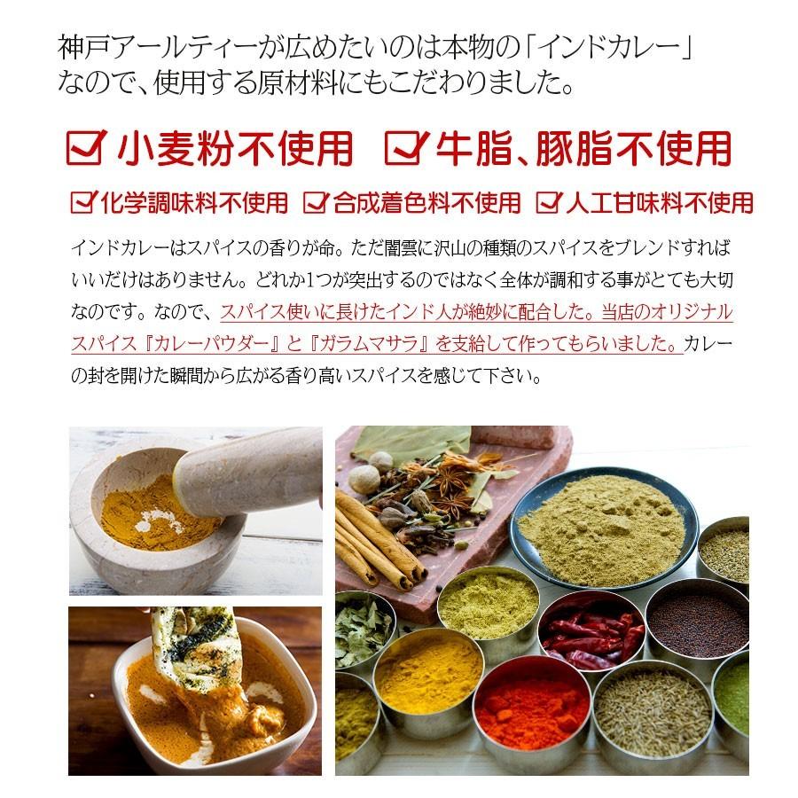 カレー レトルトカレー インドカレー  6種類 各1個 (180g×6個) 熨斗対応 ≪パッケージ版≫ 神戸アールティー 送料無料 hawks202111｜aarti-japan｜17