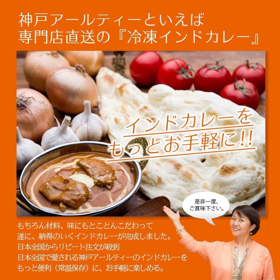 カレー レトルトカレー インドカレー  6種類 各1個 (180g×6個) 熨斗対応 ≪パッケージ版≫ 神戸アールティー 送料無料 hawks202111｜aarti-japan｜05