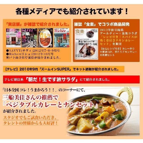 激辛チキンカレー ２５０ｇ と選べるナン １枚 のセット インドカレー アールティー B G01n 250 インドカレーの店 アールティー 通販 Yahoo ショッピング
