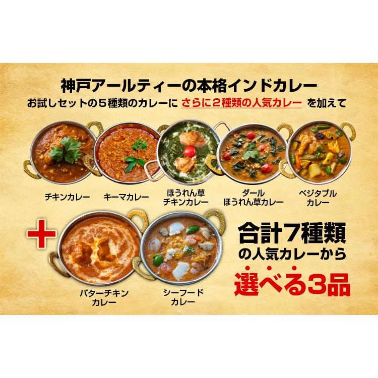 インドカレー お試しセット インドカレー 250g ３品 ナン 3枚 初回限定 大盛り｜aarti-japan｜03