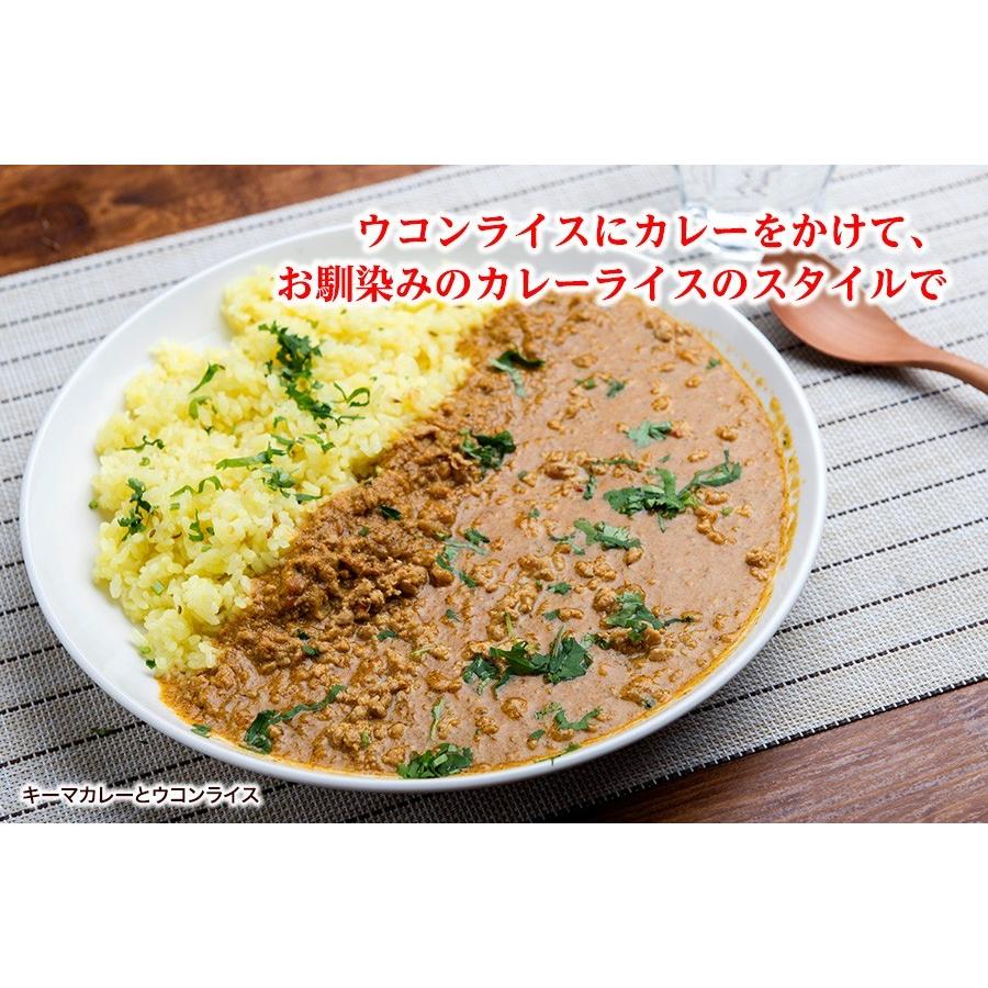 カレーよりどり6食！インドカレーライスセット【今ならカレー８種類から選べる】冷凍便送料無料 カレー6品＋ナンまたはライス6品｜aarti-japan｜13