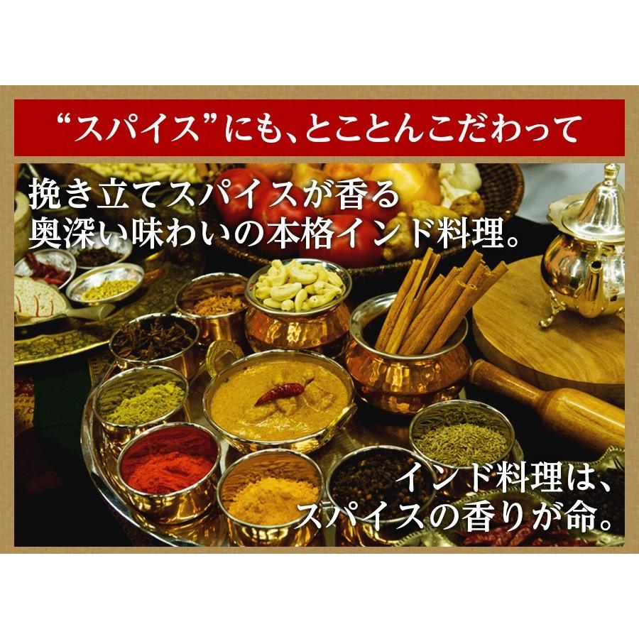 カレー・インド料理 華麗なパーティーセット 送料無料 ナン ビリヤニ タンドリーチキン サモサ｜aarti-japan｜17