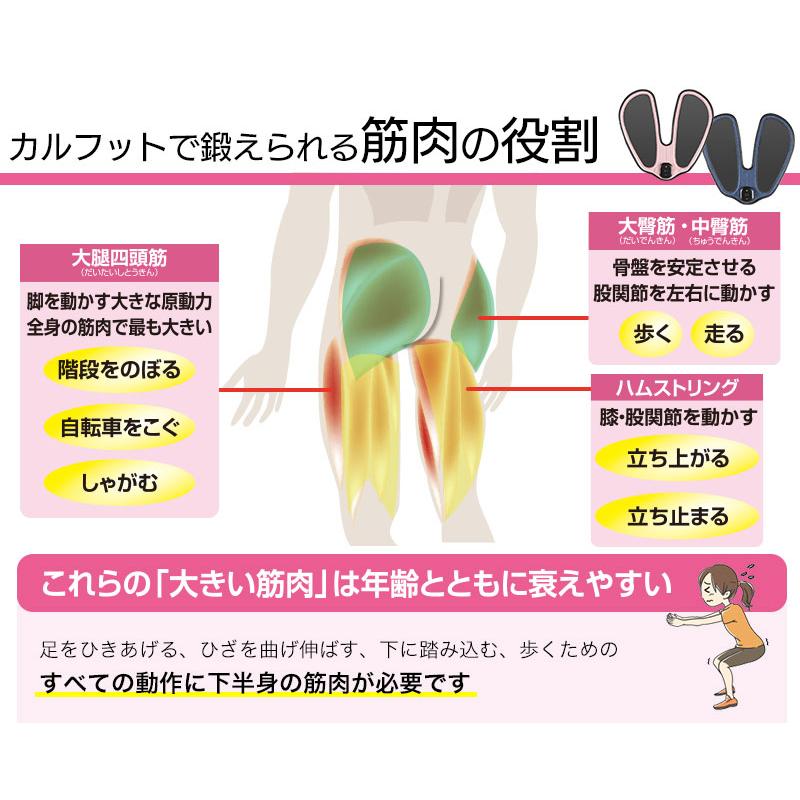 選べる豪華プレゼント付き   Calfoot（カルフット） 元マラソン選手千葉真子監修EMSマット EMS ダイエット器具 エクササイズ 介護 巣ごもり足の筋トレ EMS｜aas｜10