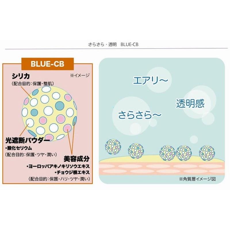 ネコポス発送ホリカホリカUVクリアスティック2022 日本限定商品