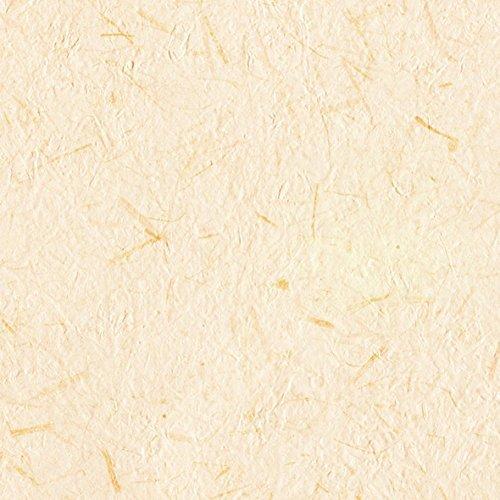 リリカラ 壁紙40m 住宅設備 和 和紙調 ブラウン 内装 Ab名古屋1号店 A Blpl 2330 柄 パターン 和紙調 Lw 2654 Japan