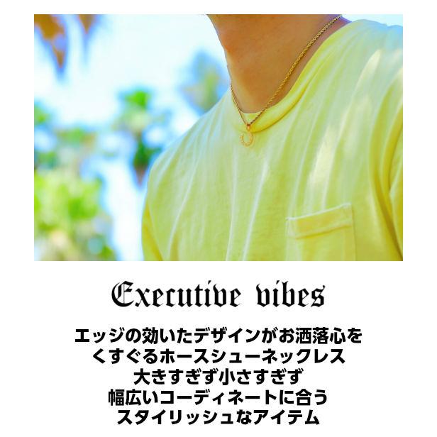 ハワイアンジュエリー ネックレス メンズ ホースシュー