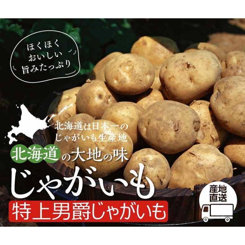 宅配便送料無料 じゃがいも 10kg 北海道産 キタアカリ 大玉 2L 1箱 新物 新じゃが 送料無料 芋 野菜 食品 国華園 宅配便送料無料 じゃがいも 10kg 北海道産 キタアカリ 大玉 2L 1箱 新物 新じゃが 送料無料 芋 野菜 食品 国華園