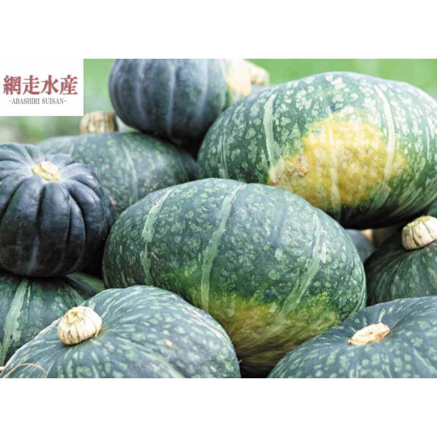 1494円 最大94％オフ！ かぼちゃ 10kg 北海道産他 8〜10玉 1箱 西洋 送料無料 食品 野菜 国華園