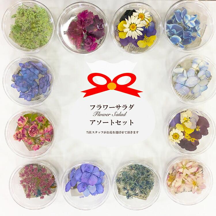 フラワーサラダ 5アソートセット : 手芸用品のABCクラフト - 通販