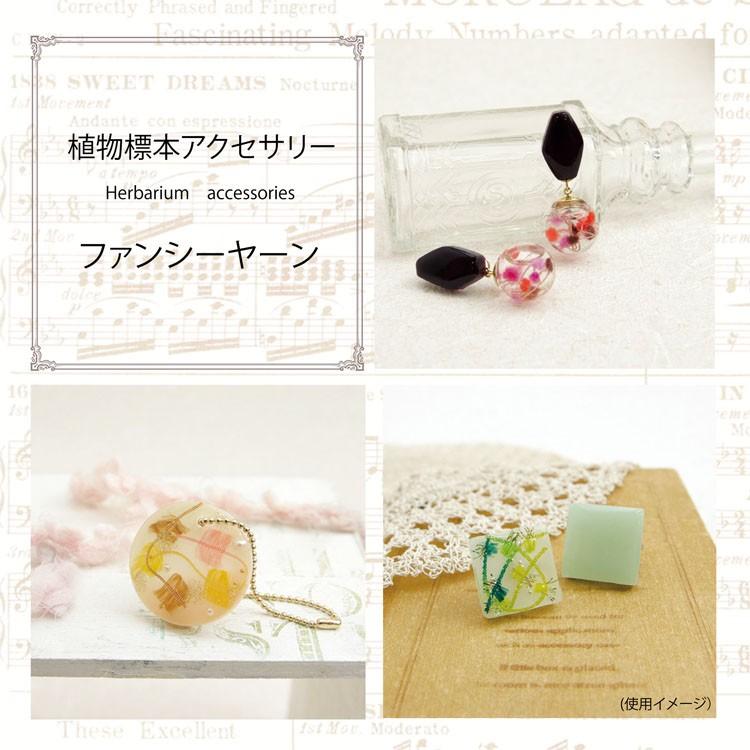 植物標本アクセサリーファンシーヤーン B Haa1 02b 手芸用品のabcクラフト 通販 Yahoo ショッピング