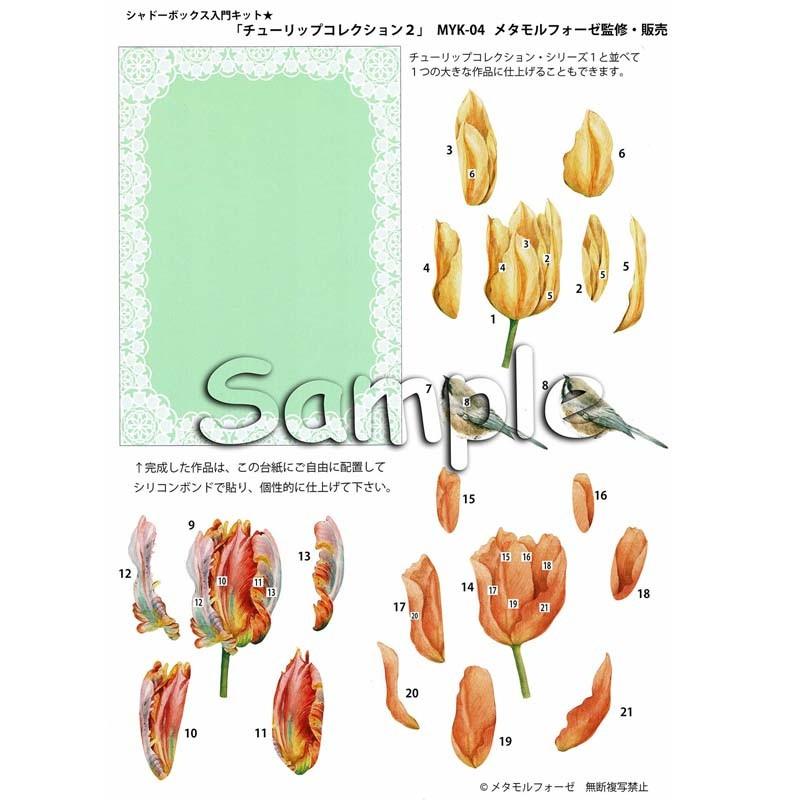 シャドープリント シャドーボックス入門キット チューリップ
