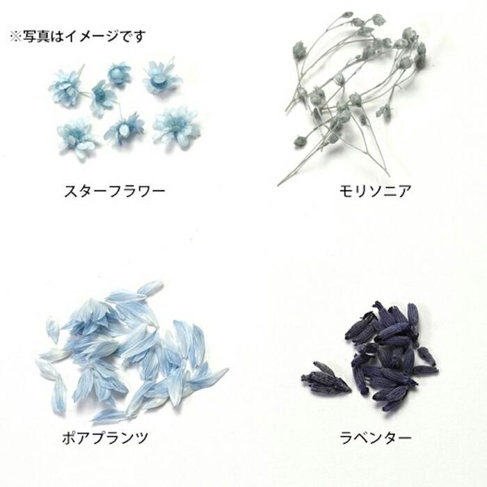 レジンクラフト リアルミックスフラワー ブルー メール便/宅配便可 rs
