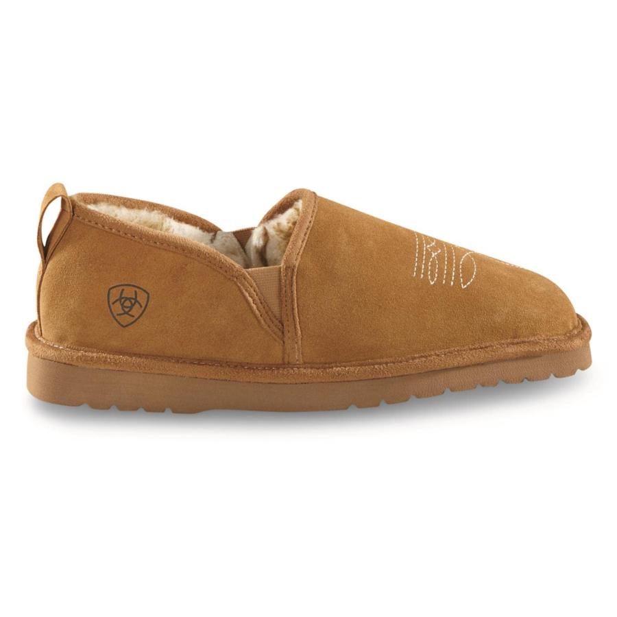 【並行輸入品】ARIAT メンズ スクエアトゥ インドア\u0026アウトドア ゴム底 ラソスエードスリッパ, チェスナット, 14 ARIAT Men'の画像