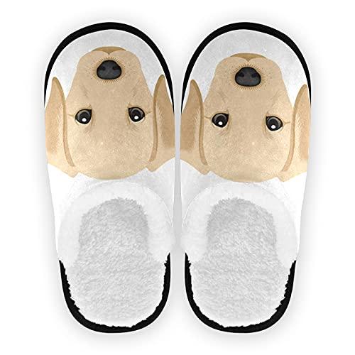 【並行輸入品】Dussdil Labrador Retriever Puppy Womens Mens Slippers Dog Home Sの画像