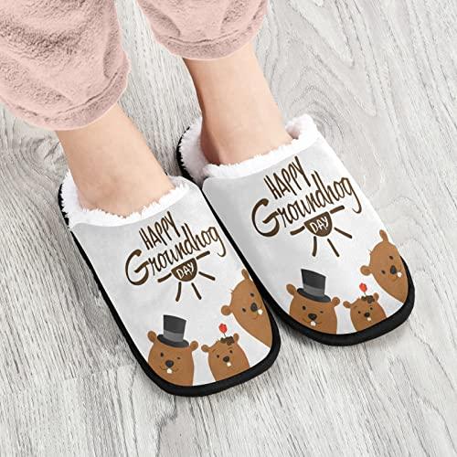 【並行輸入品】Dussdil Happy Groundhog Day House Slippers Hat Sun Flowers Homeの画像