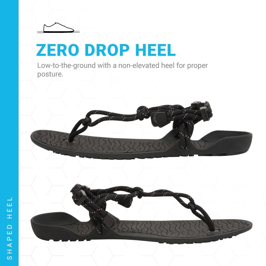 slippers ビーチサンダル 楽天市場】ノースフェイス サンダル メンズ トングサンダル