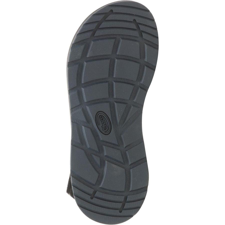 【並行輸入品】Chaco レディース Bodhi サンダル, ベルトブルー。, 8 US Chaco Women's Bodhi Sandal,_9