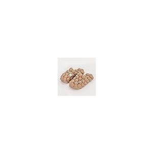 【並行輸入品】ASONGMAKE Mens Bubble Slides Funny Massager Slippers Womens Soft_8