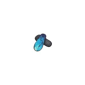 【並行輸入品】Warm Plush House Slippers Indoor Shoes Ocean Animal Shark Furryの画像