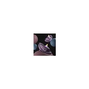 【並行輸入品】Hello Slippers, Anglerfish Shark スライドサンダル スーパーソフト 環境に優しいEVA素材 快適な_7