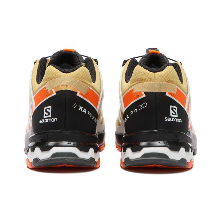 SALOMON（サロモン） XA PRO 3D v8 GTX エックスエープロスリーディー