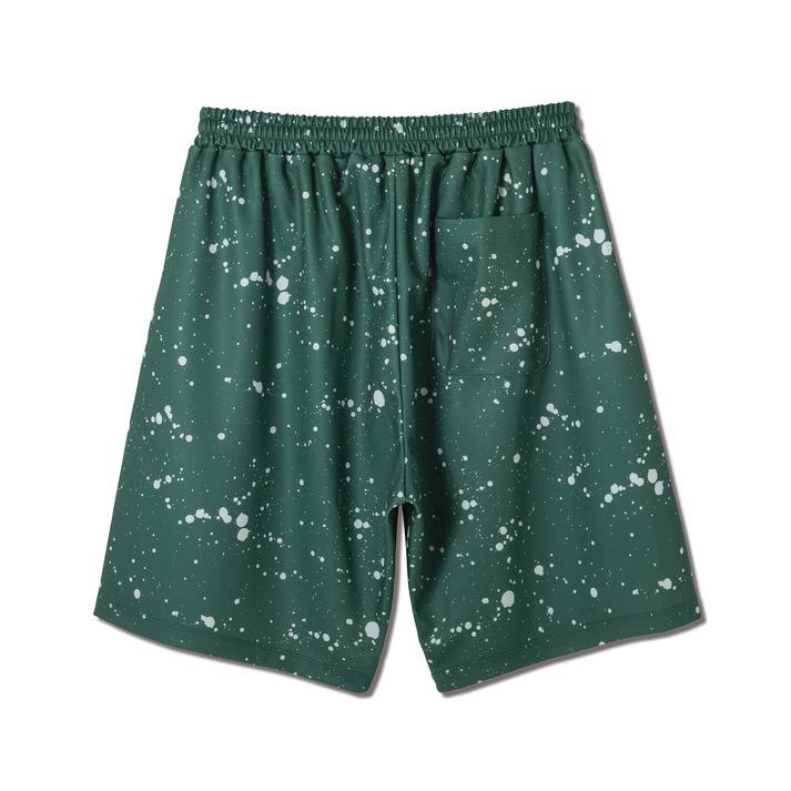 AKTR アクター SPLASH 8.5-INCH SHORTS ショートパンツ 223-009002 GREEN｜abc-martnet｜02