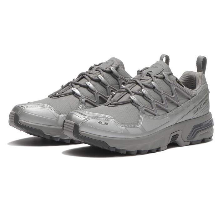 SALOMON（サロモン） ACS+ GTX エーシーエスプラス GTX L49093600