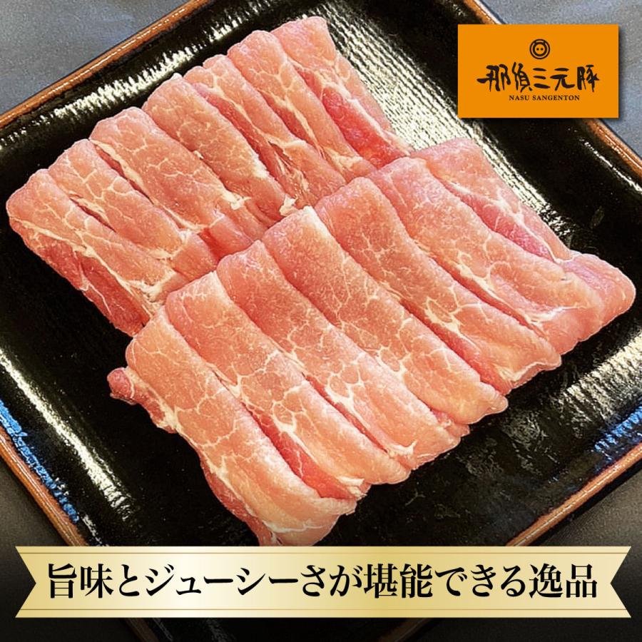 業務用 しゃぶしゃぶ 赤身 栃木県産 那須三元豚もも2ｍｍスライス500g 食品 肉 お試し 訳あり 卸 問屋 直送 ヘルシー 2点以上は送料がお得です Abcミート 通販 Yahoo ショッピング
