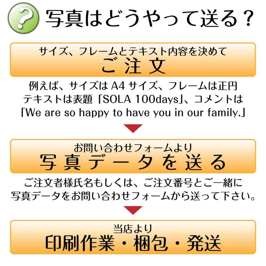 メール便 送料無料 アイロン プリント シート オーダー フィルム