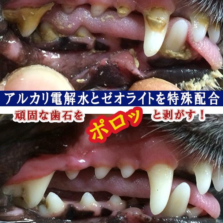 マジックゼオ・プロ 犬の歯磨き粉 歯石を浮かせてポロリ、驚きの効果｜abcdog-mie｜04