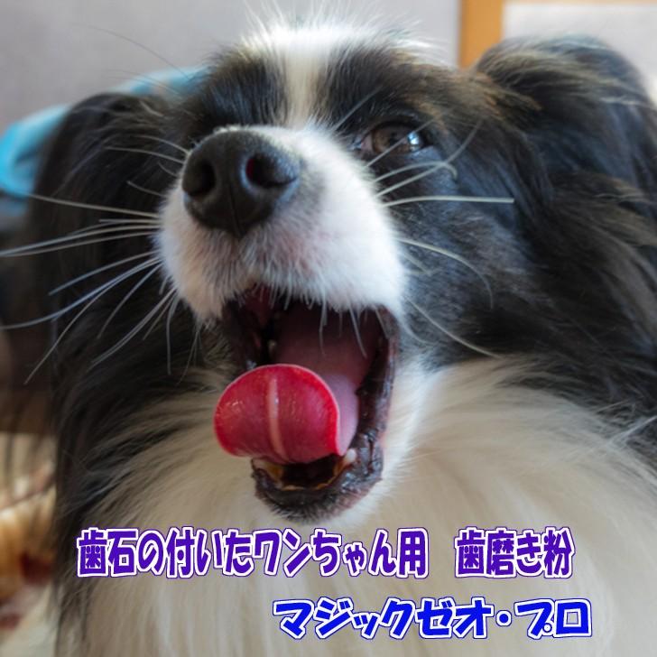 マジックゼオ プロ デイリー 歯っぴーセット 犬 歯石取り 歯石予防 ペット用歯磨き粉 Zppv385wm7 犬用品のabcdogマジックゼオ専門店 通販 Yahoo ショッピング