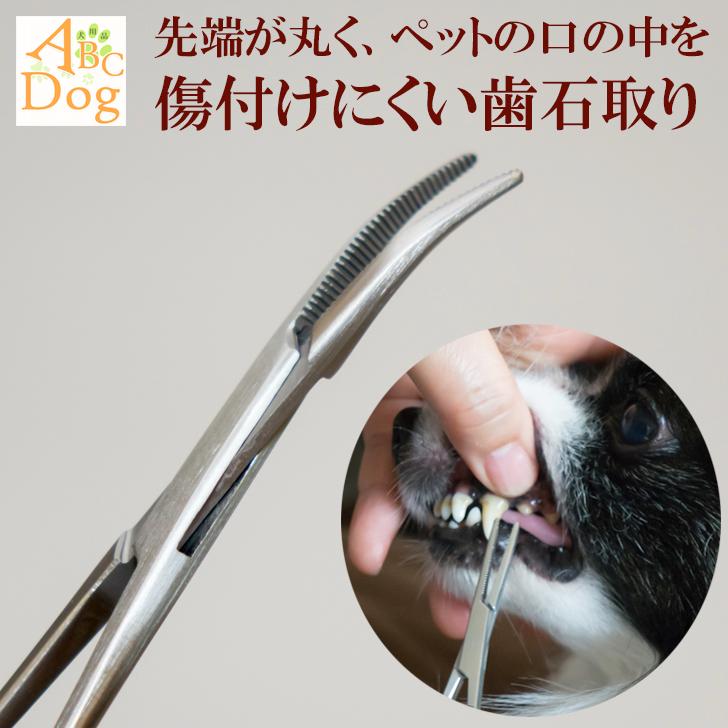 犬 歯石除去 マジックゼオプロ カンシ 犬 猫 歯磨き ペースト 口臭予防 玩具 歯石取り 器具 歯周病菌 犬用品abcdog 通販 Yahoo ショッピング
