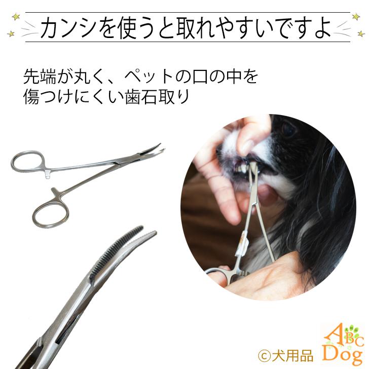 K♡♡ページ 1日までお取り置き分✿︎ 楽天市場】お買い物マラソン 10%OFF 直営店保証 6カ月保証 まじ