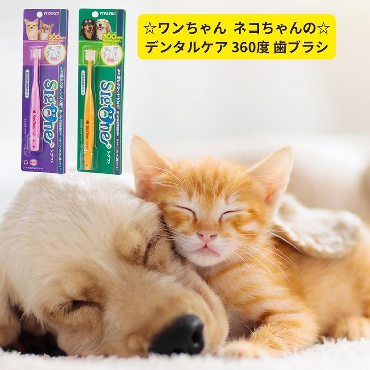 犬 デンタルケア シグワン 360度歯ブラシ 1本 超小型犬用 ピンク 小型犬〜イエロー 歯ブラシ ゆうパケット 日時の指定不可　 の商品画像