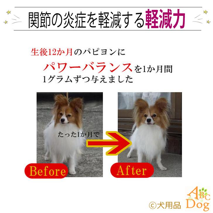 犬 関節 サプリ コラーゲン 総合栄養補助 20袋セット 粉末タイプ