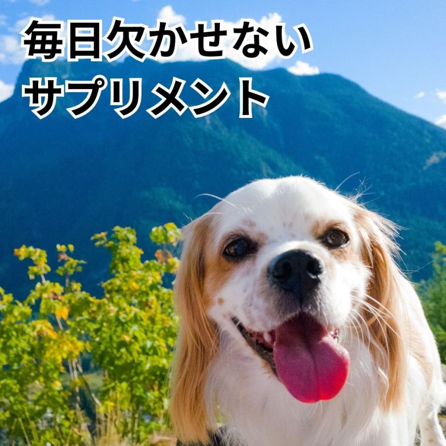 犬用品 コラーゲン パワーバランス(顆粒) 30本入り 犬 サプリメント 関節 楽天市場】犬用品 コラーゲン パワーバランス 顆粒30本入り 犬
