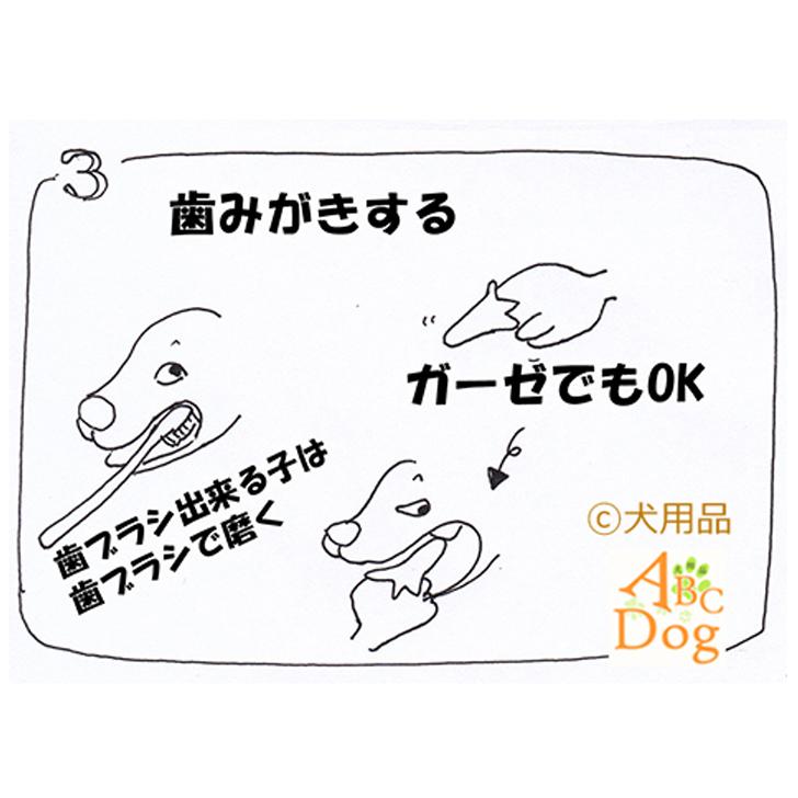 人気商品 犬 歯石除去 マジックゼオ プロ 360度歯ブラシ 小型犬用 シグワン 猫 歯磨き 口臭予防 玩具 歯石取り 器具 歯周病菌 Whitesforracialequity Org