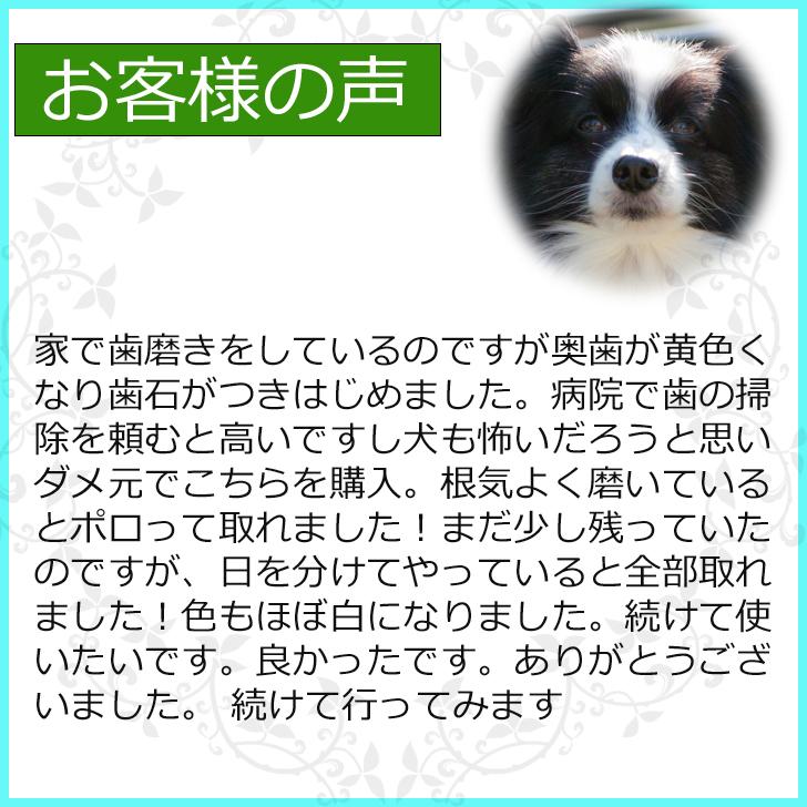 犬 歯石除去 マジックゼオ デイリー 3箱 犬 歯磨き ジェルで簡単 すすぎ不要 歯石 黄ばみ除去 人気 無添加｜abcdogshop｜07