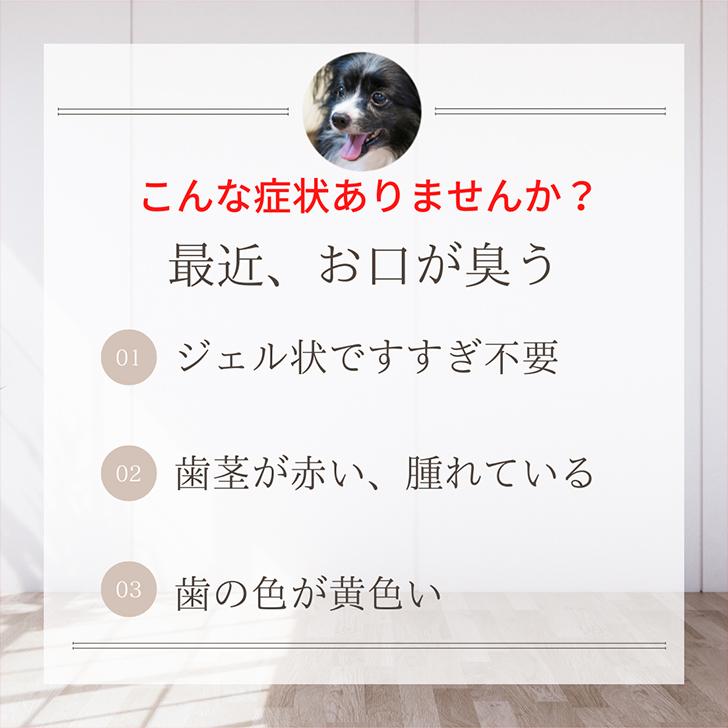 犬 歯石除去 マジックゼオ デイリー5箱 犬 猫 歯石 歯垢 歯磨き粉 ジェル状 簡単 口臭  歯周病予防 歯周病菌 デンタルケア 国産無添加 人気 無添加｜abcdogshop｜02