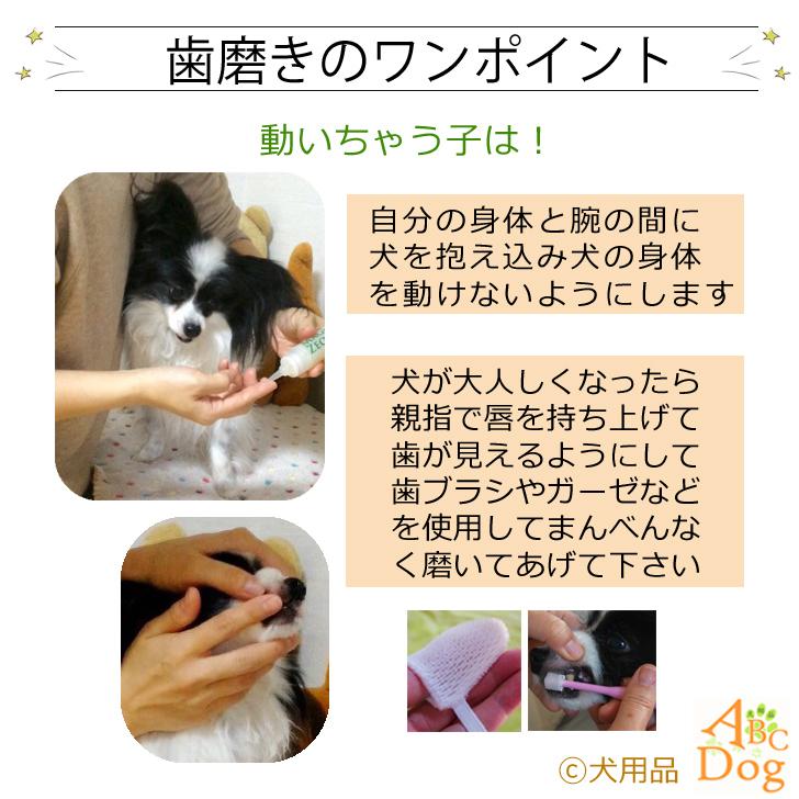 EDOG JAPAN 犬 猫 歯磨き粉 マジックゼオ デイリー 歯石 歯垢 口臭