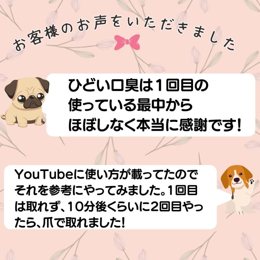 マジックゼオ プロ EDOG 歯ブラシ ３本 犬 歯磨き すすぎ不要 歯磨き粉 歯石 黄ばみ除去 犬 歯磨き 無添加｜abcdogshop｜07