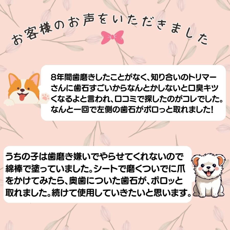 マジックゼオ プロ EDOG 歯ブラシ ３本 犬 歯磨き すすぎ不要 歯磨き粉 歯石 黄ばみ除去 犬 歯磨き 無添加｜abcdogshop｜08