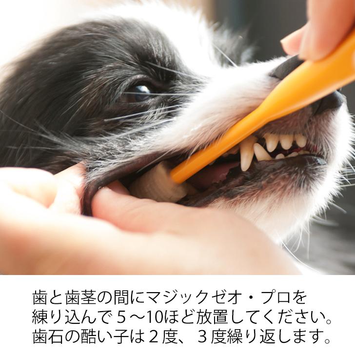 激安 激安特価 送料無料 マジックゼオ プロ Edogブラシ 犬 歯磨き すすぎ不要 歯磨き粉 歯石 黄ばみ除去 Discoversvg Com