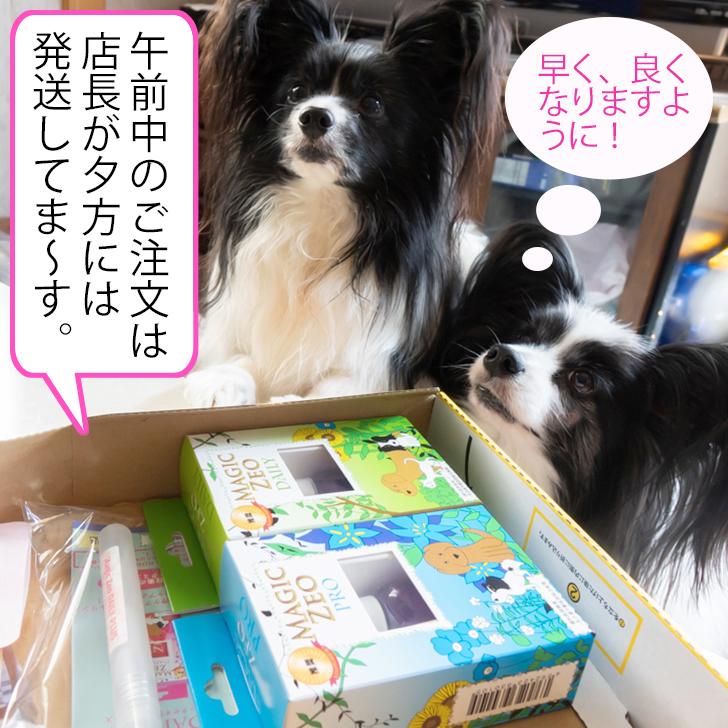 犬 歯石除去 マジックゼオプロ 犬 猫 歯磨き ペースト 歯ブラシ 玩具 歯石取り 器具 歯周病菌 オクチブラシ Kps Okuchi 犬用品abcdog 通販 Yahoo ショッピング