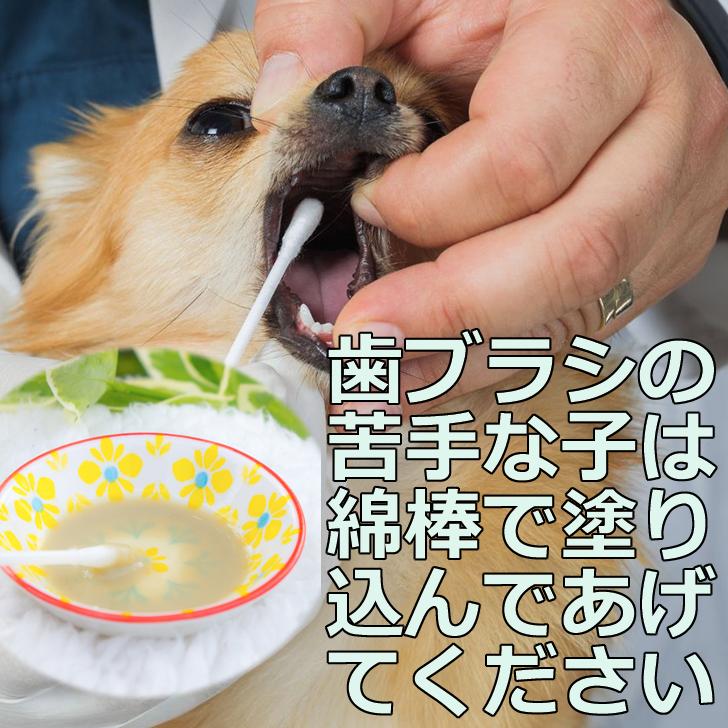 犬 歯石除去 マジックゼオ プロ 10箱 犬 猫 歯磨き 歯みがき粉 ペースト 歯ブラシ 玩具 歯石取り 器具 歯周病菌  デンタルケア 人気 無添加｜abcdogshop｜13