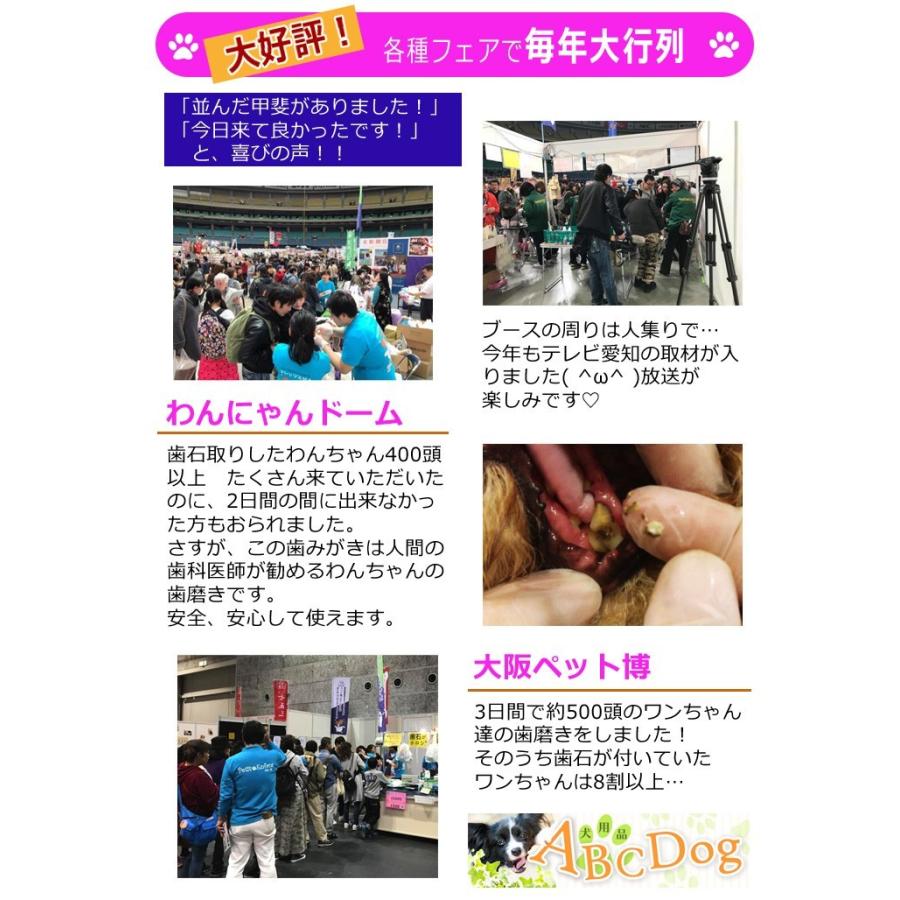 マジックゼオ プロ 業務用 300cc 歯石 犬 歯磨き 歯周病予防 歯周病菌 犬用品abcdog 通販 Yahoo ショッピング