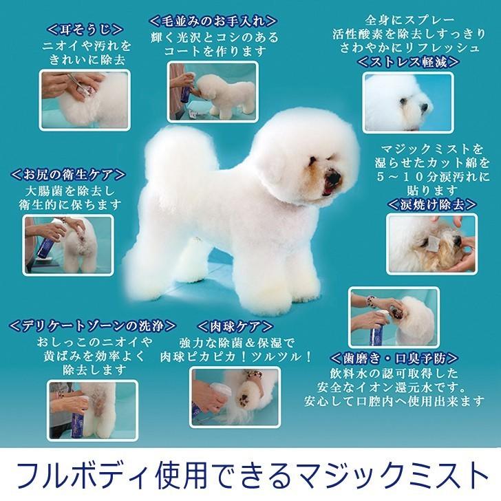 犬 歯磨き粉 歯石 歯垢 口臭 予防 マジックゼオ プロ デイリー