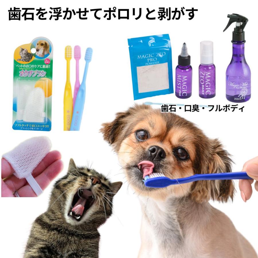 限定価格セール マジックゼオ 犬 猫 歯磨き ペースト ジェル状 ミスト 口臭予防 歯ブラシ 玩具 歯石取り 器具 歯周病菌 歯石除去 信頼 Www Muslimaidusa Org